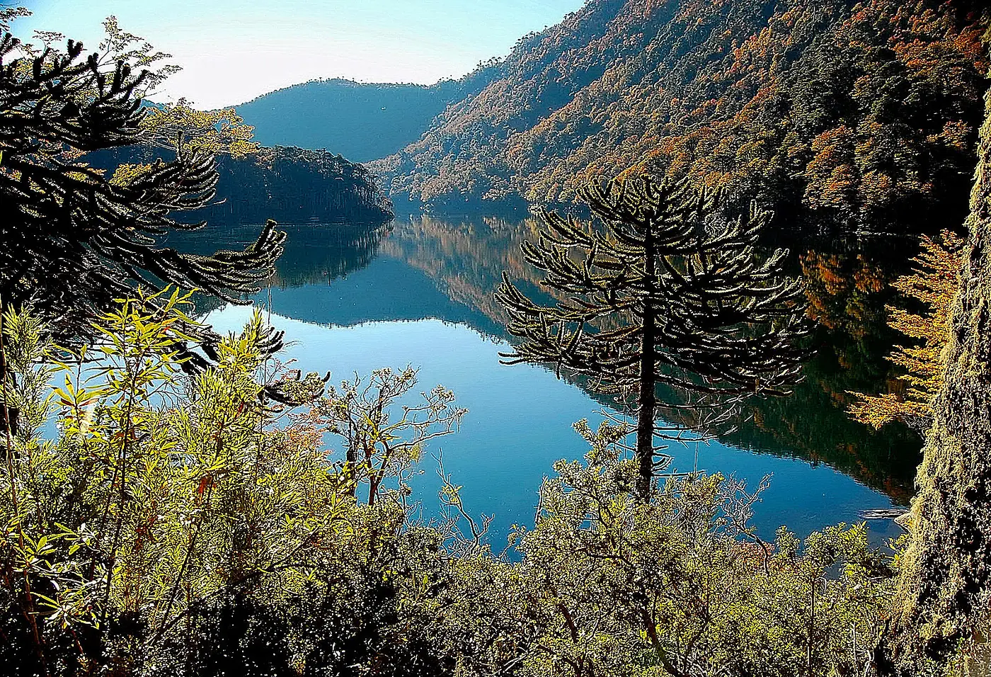 See und Wald im Nationalpark Huerquehue